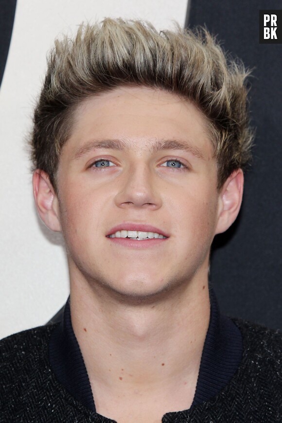 Niall Horan, chanteur des One Direction et risée du web