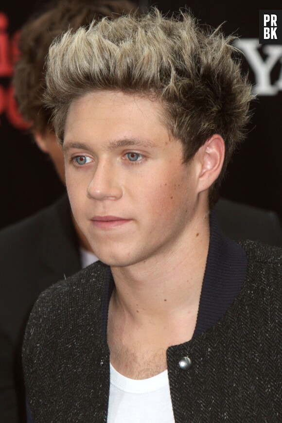 Niall Horan, chanteur des One Direction et risée du web