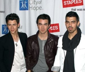 Jonas Brothers : le groupe a supprimé son compte Twitter