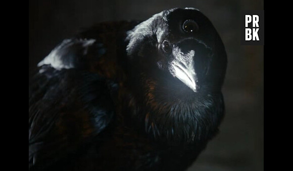 Game of Thrones saison 4 : Le three-eyed crow va dévoiler ses secrets