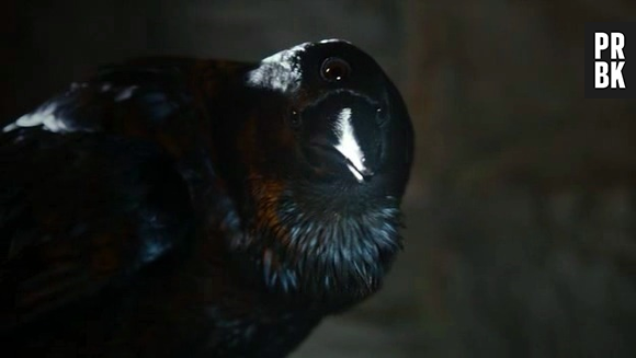 Game of Thrones saison 4 : Le three-eyed crow va dévoiler ses secrets