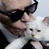 Karl Lagerfeld et sa chatte Choupette