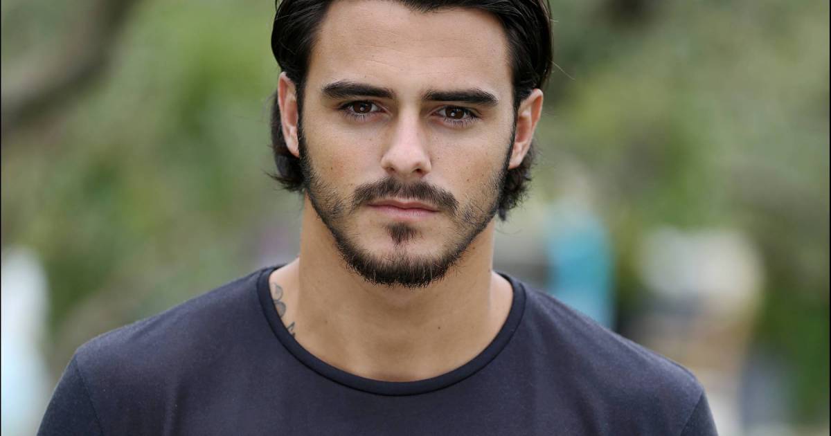 Benjamin Samat La Belle Et Ses Princes
