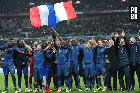 France VS Ukraine, le 19 novembre 2013 au Stade de France