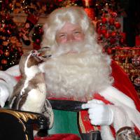 Le Père Noël accusé d&#039;attouchement sexuel sur une Elfe