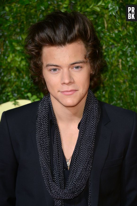 Harry Styles aux British Fashion Awards à Londres, le 2 décembre 2013