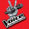 The Voice, élue "meilleur dispositif de communication numérique" aux Social Media Awards 2013