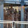 Des personnes nus à Munich pour soutenir la cause animale