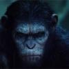 La Planète des singes, l'affrontement : chaos dans la bande-annonce