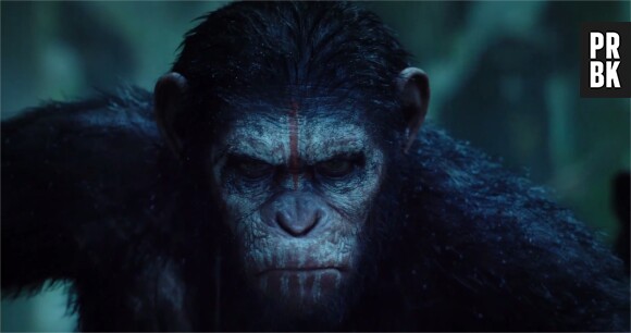 La Planète des singes, l'affrontement : chaos dans la bande-annonce