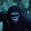 La Planète des singes, l'affrontement : chaos dans la bande-annonce
