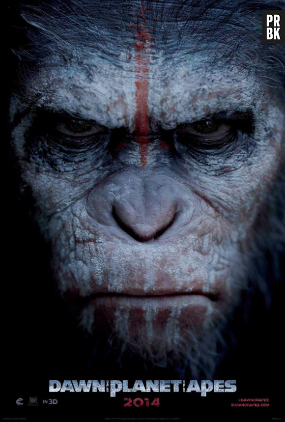 La Planète des singes, l'affrontement : au cinéma le 30 juillet 2014