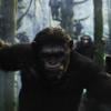 La Planète des singes, l'affrontement : au cinéma le 30 juillet 2014