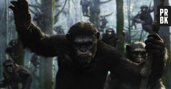 La Planète des singes, l'affrontement : au cinéma le 30 juillet 2014