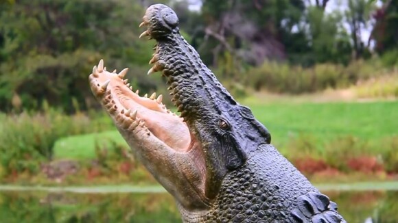 [VIDÉO] Comment créer un crocodile géant en 3 minutes chrono