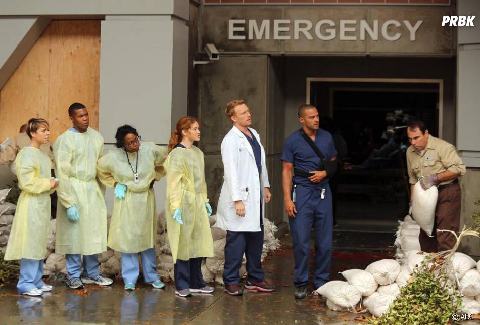 Grey&#039;s Anatomy saison 10 : de retour sur ABC le 27 février 2014