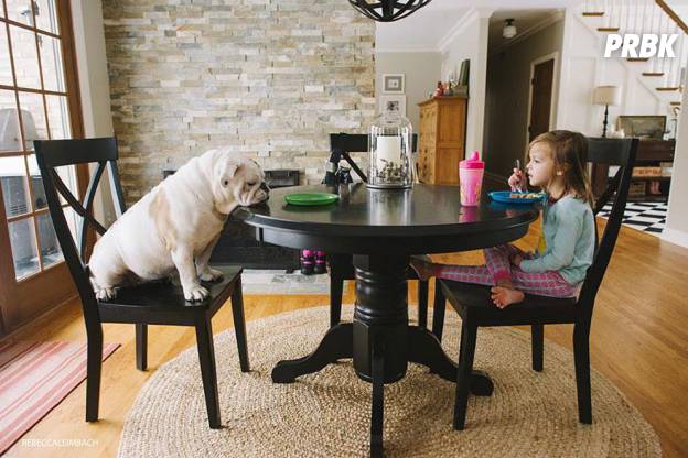 Lola et Harper à table