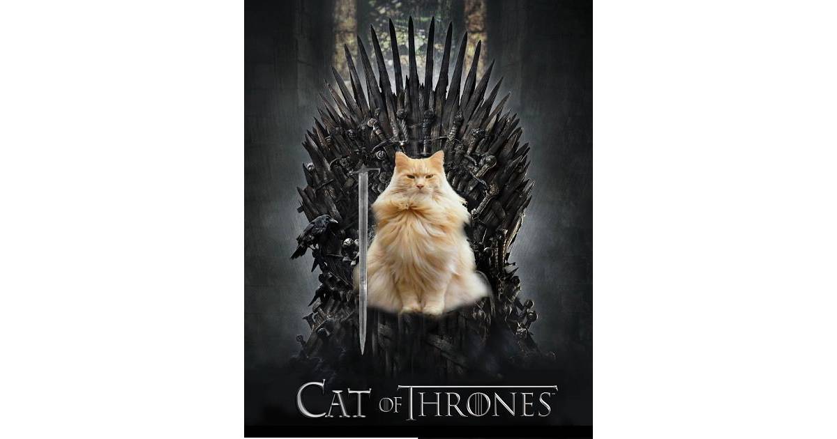 [PHOTOS] A quoi ressemblerait Game of Thrones avec des chats ? Purebreak