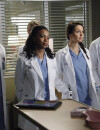 Grey's Anatomy saison 10, épisode 20 : les internes sur une photo