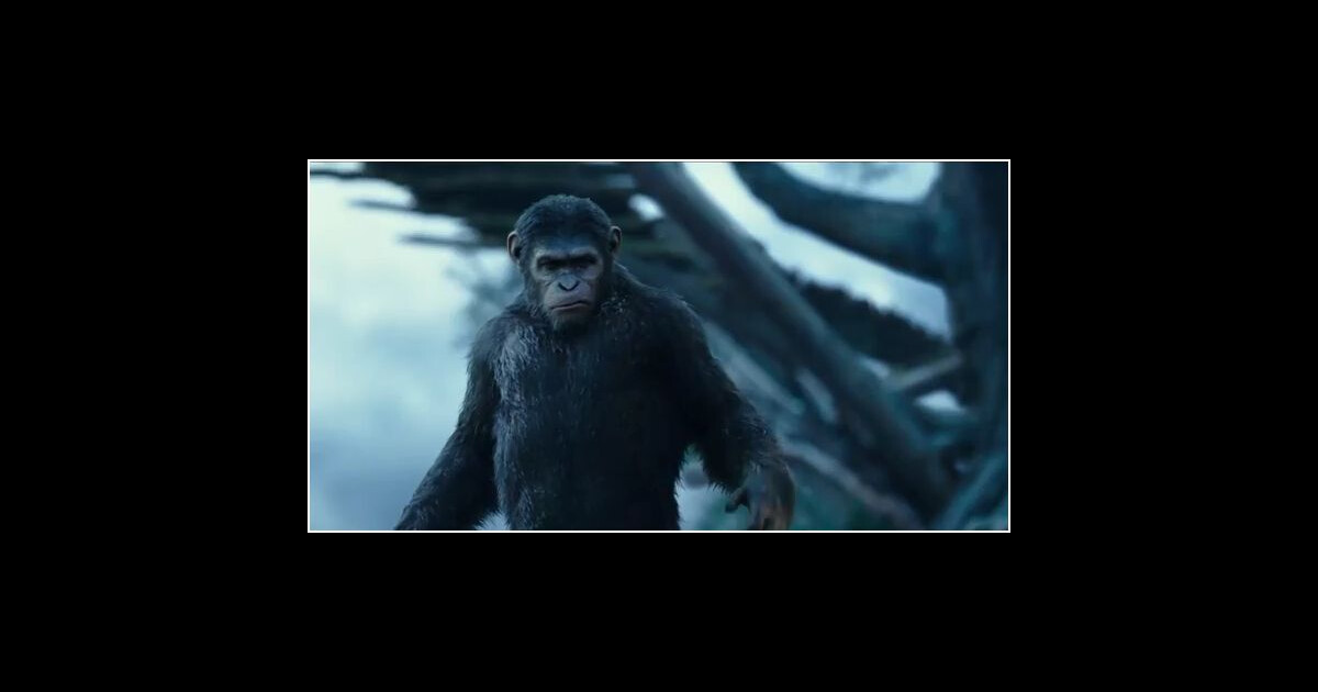 La Planète des singes 2 : tensions et émotion dans une bande-annonce