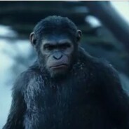 La Planète des singes 2 : tensions et émotion dans une bande-annonce sombre