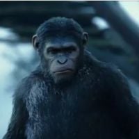 La Planète des singes 2 : tensions et émotion dans une bande-annonce sombre