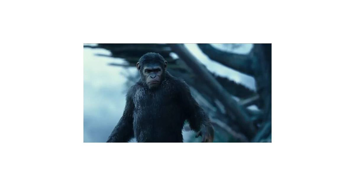 La Planète Des Singes 2 Streaming La Planète des singes 2 : tensions et émotion dans une bande-annonce