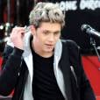  Niall Horan : le 1D a &eacute;t&eacute; bless&eacute; par un projectile lors du concert des One Direction &agrave; Amsterdam, le mercredi 25 juin 2014 