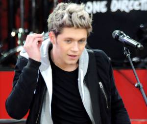 Niall Horan : le 1D a &eacute;t&eacute; bless&eacute; par un projectile lors du concert des One Direction &agrave; Amsterdam, le mercredi 25 juin 2014