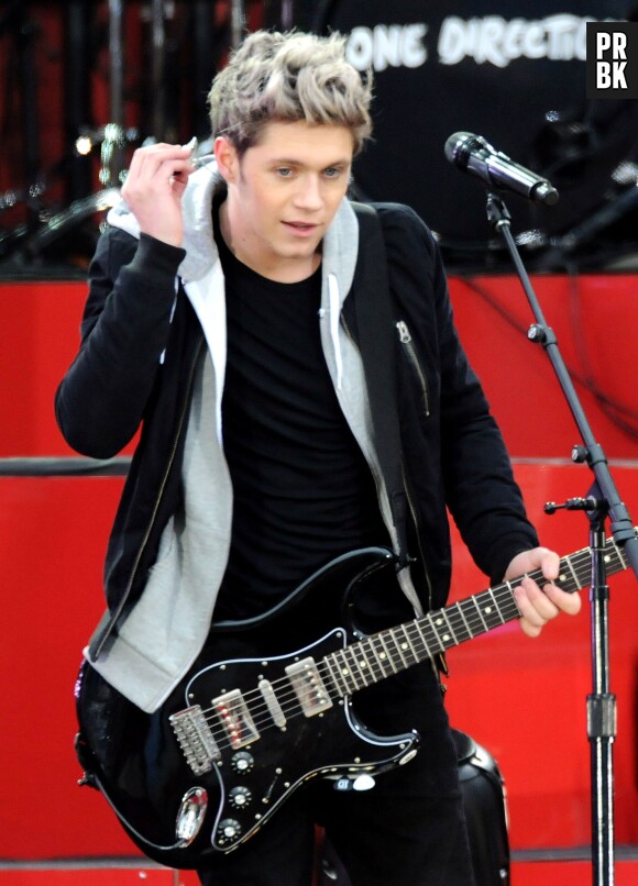 Niall Horan : le 1D a été blessé par un projectile lors du concert des One Direction à Amsterdam, le mercredi 25 juin 2014