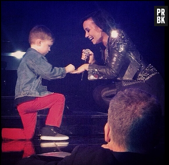 Demi Lovato : demande en mariage pendant un concert