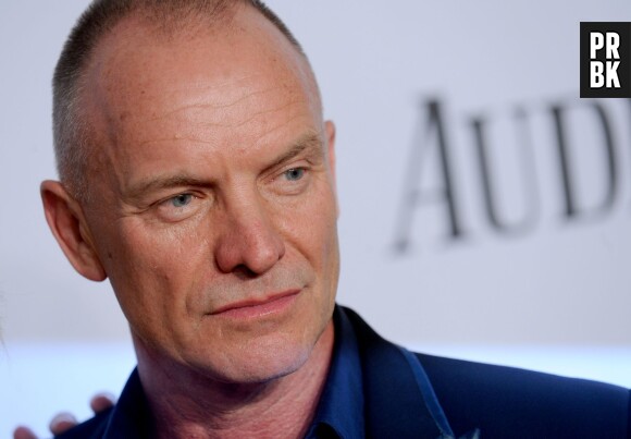 Sting parmi ces chanteurs qui ont osé plaquer leur groupe pour faire carrière en solo