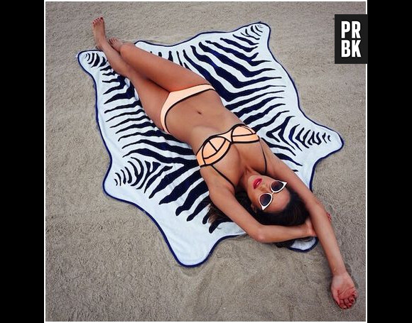 Shay Mitchell prend la pose en bikini sur Instagram