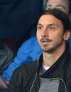  Zlatan Ibrahimovic : spectateur concern&eacute; de PSG vs Nicosie, le 5 novembre 2014 au Parc des Princes 