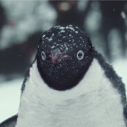 Un enfant et son pingouin inséparables : la pub la plus mignonne de Noël