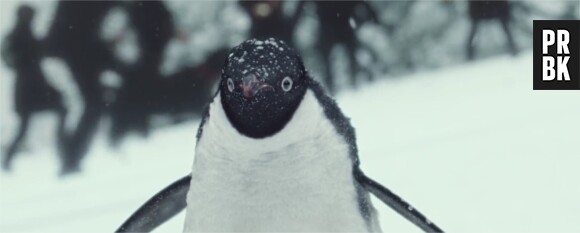John Lewis : un pingouin star d'une publicité craquante pour Noël