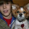 Justin Bieber : #RIPSammy, Twitter en émoi après la mort de son chien