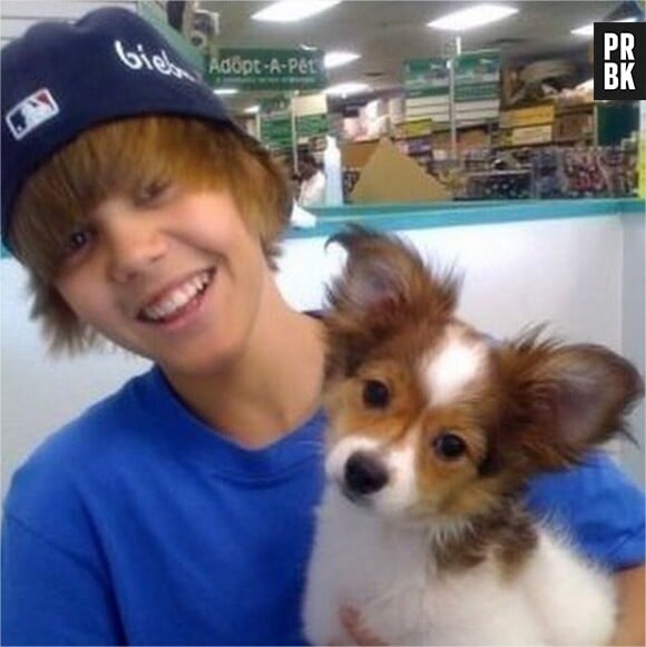 Justin Bieber : #RIPSammy, Twitter en émoi après la mort de son chien