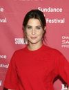  Cobie Smulders maman : sexy en jupe moulante le 25 janvier 2015 &agrave; Sundance, trois semaines apr&egrave;s son accouchement 