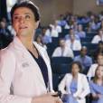  Grey's Anatomy saison 11 : Amelia va se d&eacute;voiler 