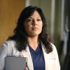 Grey's Anatomy saison 11, épisode 15 : Callie (Sara Ramirez) sur une photo