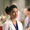 Grey's Anatomy saison 11, épisode 15 : Maggie sur une photo