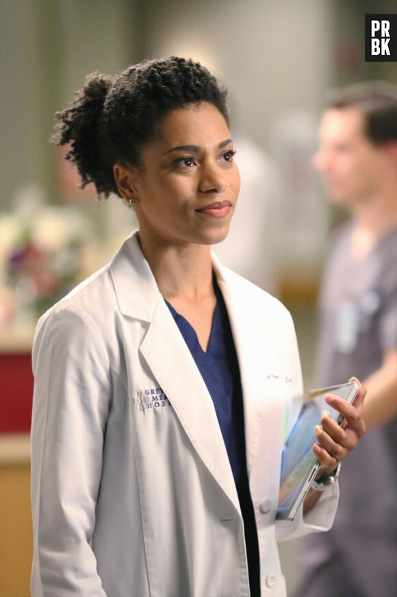 Grey's Anatomy saison 11, épisode 15 : Maggie sur une photo