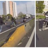 Touchant : quand de gros bikers sauvent un chien en danger sur l&#039;autoroute
