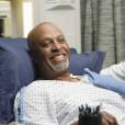  Grey's Anatomy saison 10 : Richard ne va pas mourir 