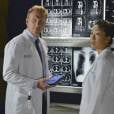  Grey's Anatomy saison 10 : Owen et Cristina sur une photo 