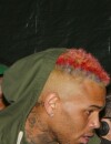  Chris Brown et ses cheveux arc-en-ciel à Coachella le 11 avril 2015 