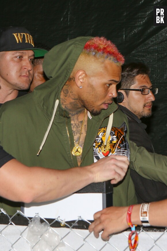 Chris Brown et ses cheveux arc-en-ciel à Coachella le 11 avril 2015