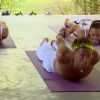 Les Marseillais en Thaïlande : cours de yoga pour les candidats