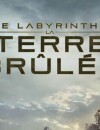 Le Labyrinthe 2, la Terre brûlée : l'affiche française du film